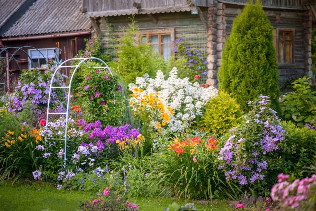 Corner Garden Ideas to Brighten Your Yard