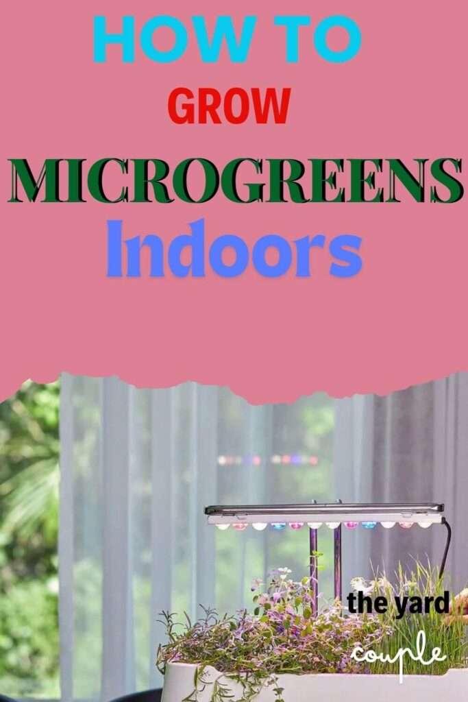 How Much Microgreens to Eat Per Day