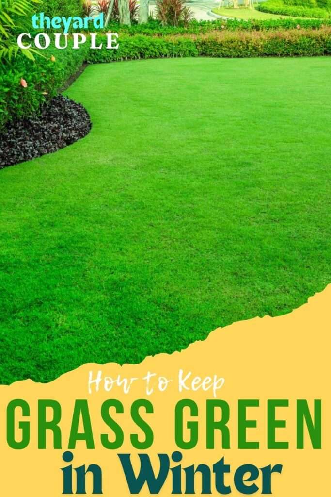 How to Keep Grass Green