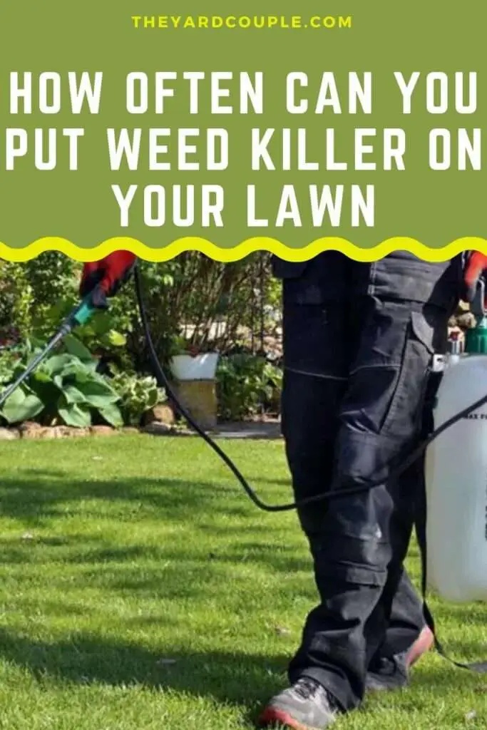 How Often Can You Put Weed Killer on Your Lawn