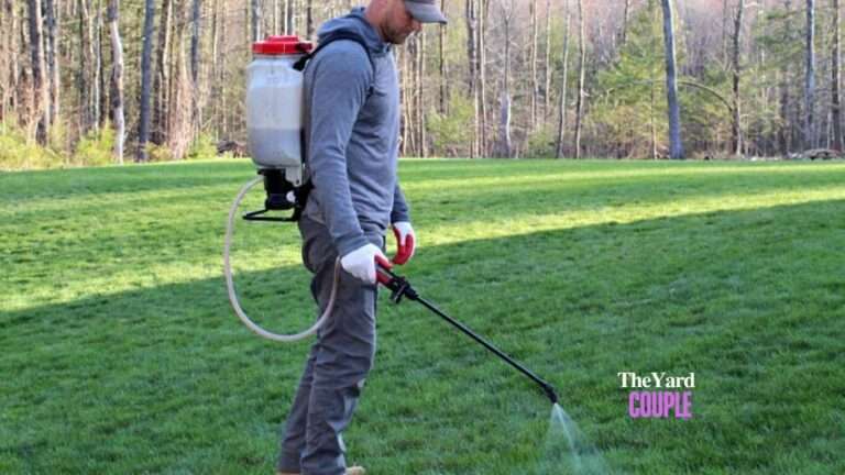 How to get rid of weeds in Florida lawn