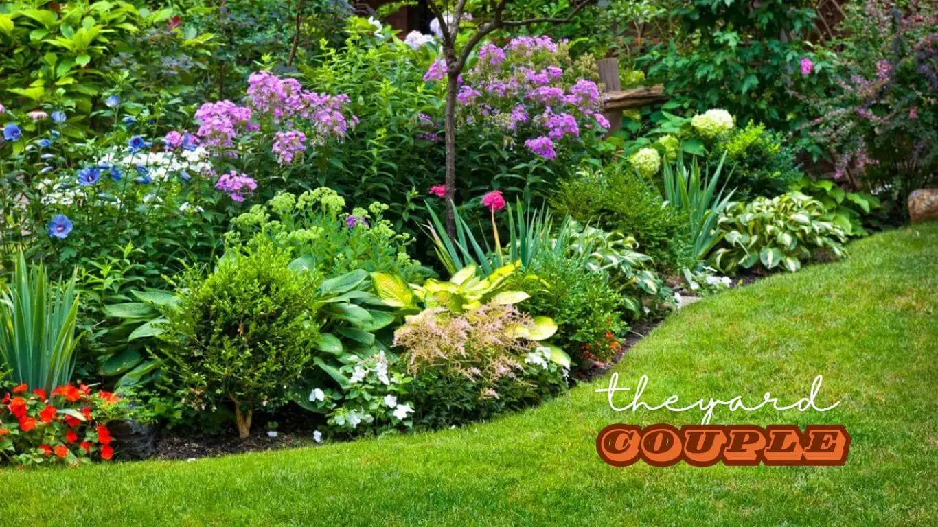 Corner Garden Ideas to Brighten Your Yard