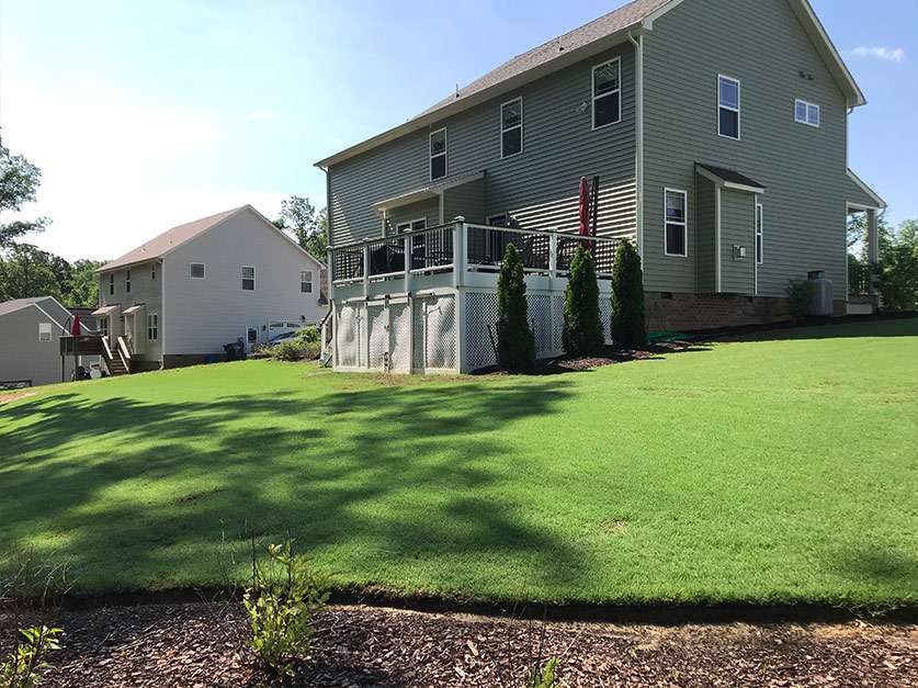 Shade Tolerant Bermuda Grass