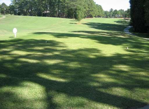 Shade Tolerant Bermuda Grass