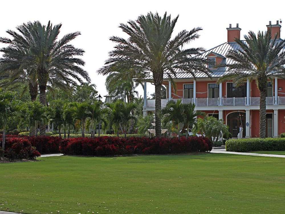 Shade Tolerant Bermuda Grass