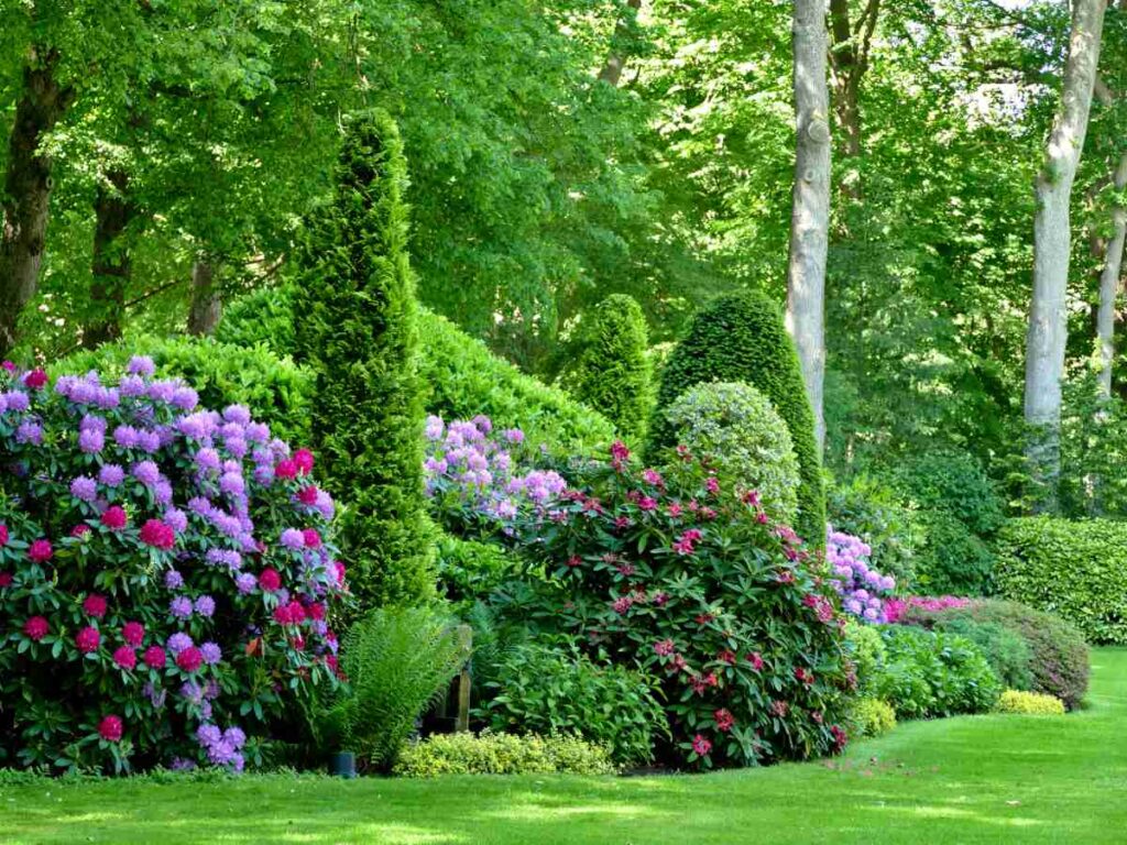 Corner Garden Ideas to Brighten Your Yard