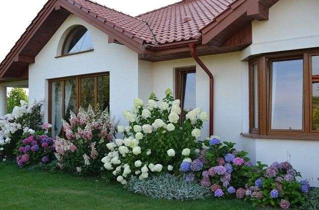 Hydrangea Landscaping Ideas