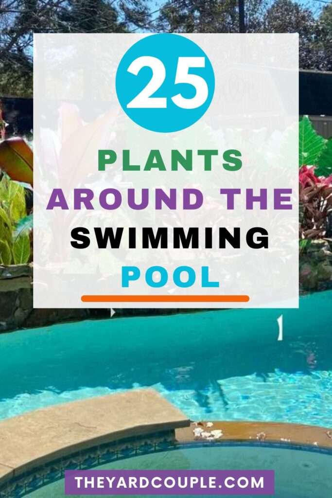  Plants for Around the Pool