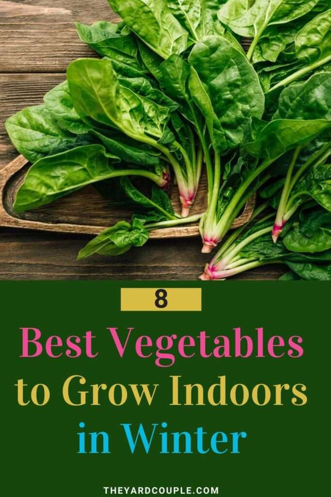 Best Vegetables to Grow Indoors During Winter