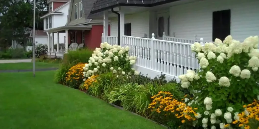 Hydrangea Landscaping Ideas