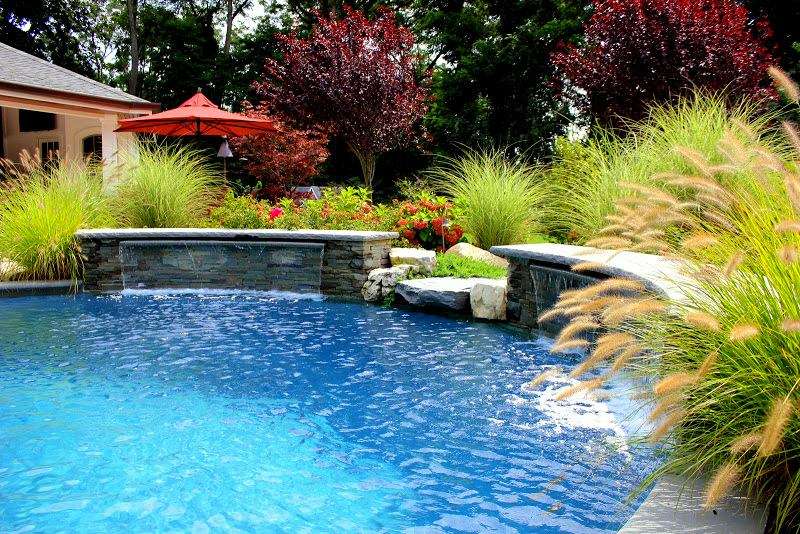 plants for around the pool landscaping ideas