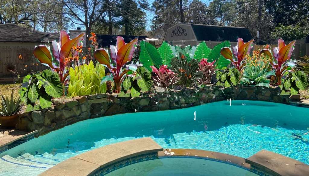 plants for around the pool landscaping ideas