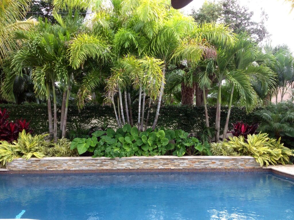 Plants for Around the Pool