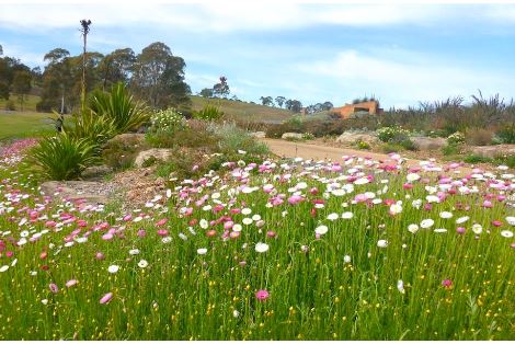 Hillside Garden Ideas Sloped Backyard