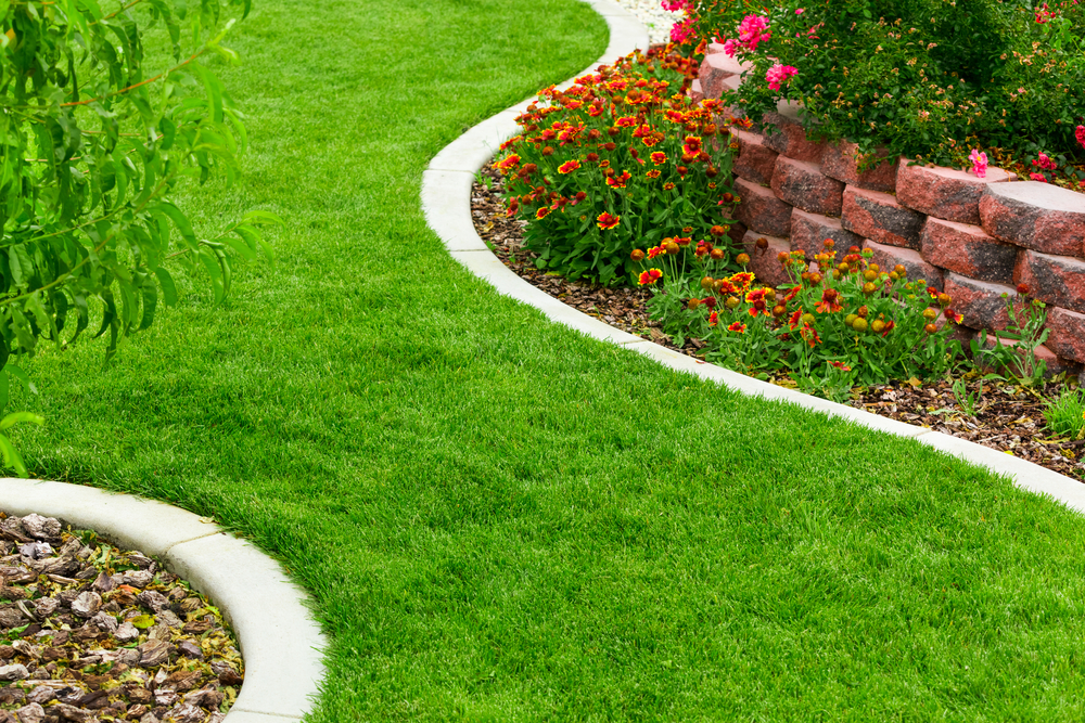 Low Maintenance Side of the House Landscaping Ideas