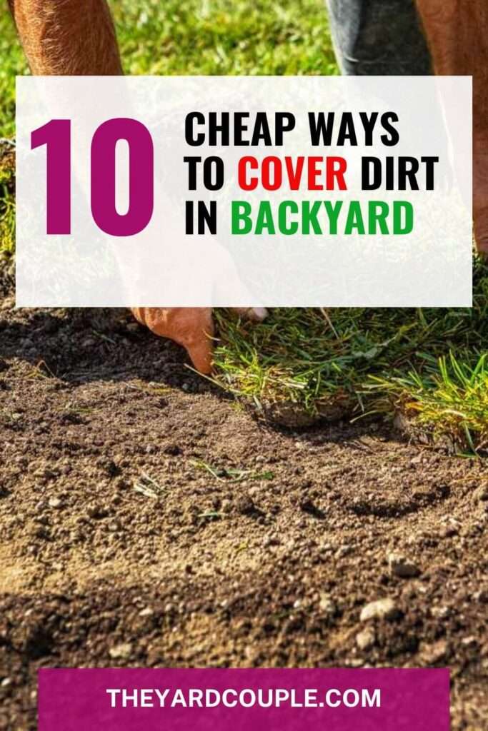 Ways to Cover Dirt in Backyard