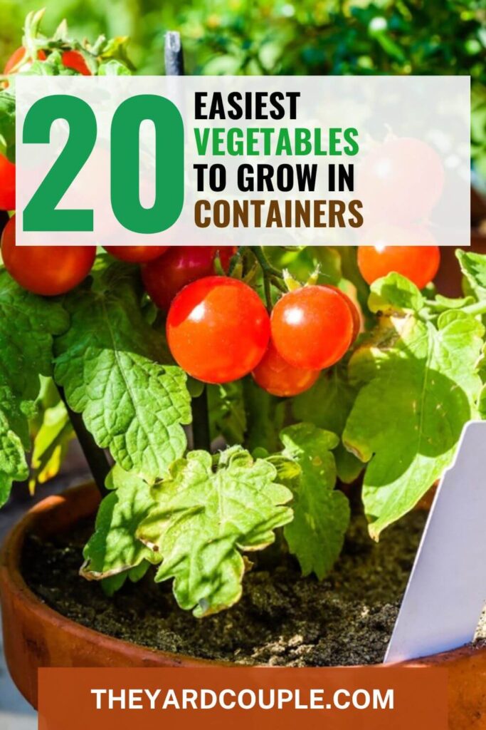 Easiest Vegetables to Grow in Containers