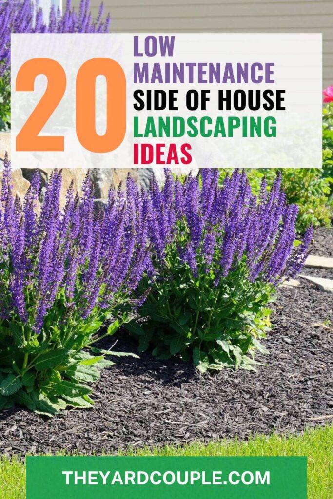 side of the house landscaping ideas