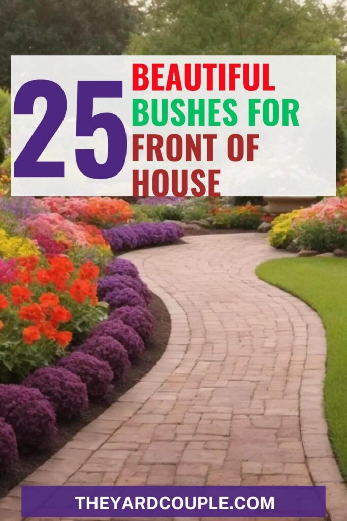 bushes for front of house