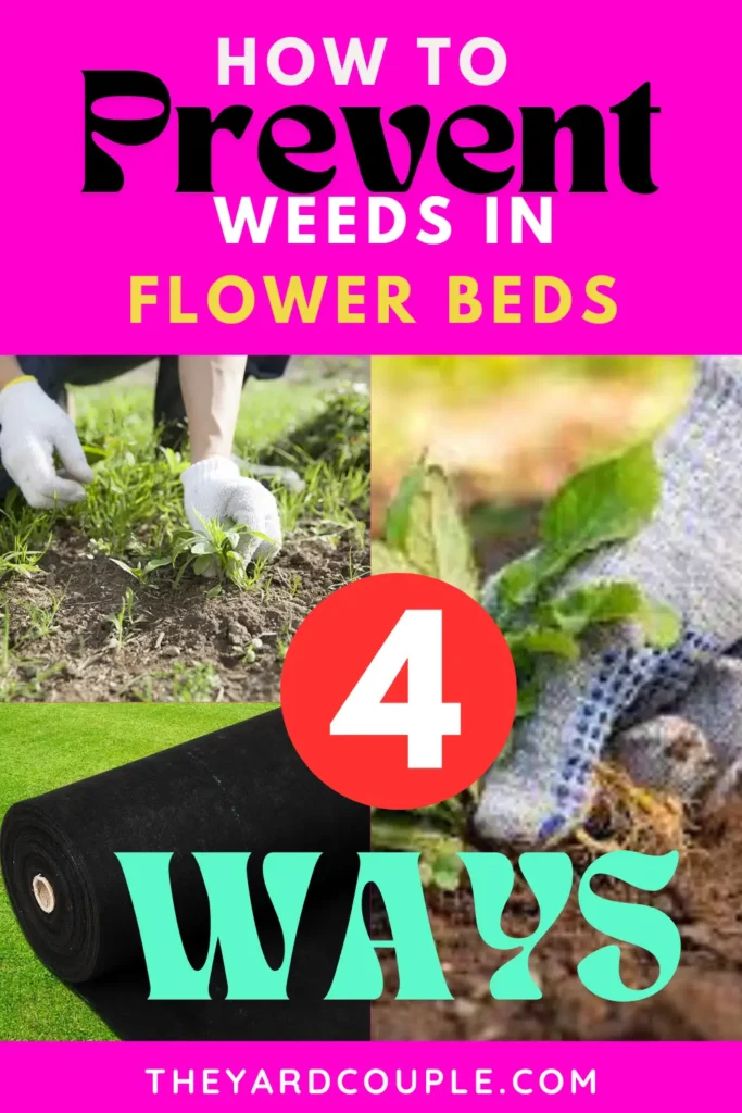 how to get rid of weeds in flower beds