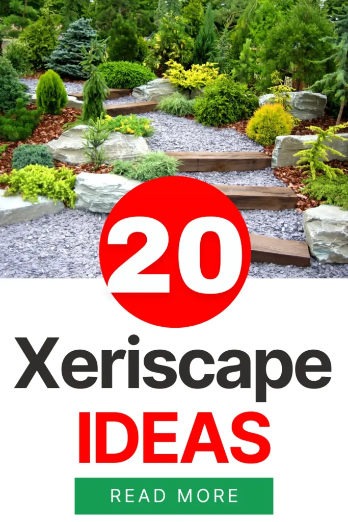 xeriscape ideas