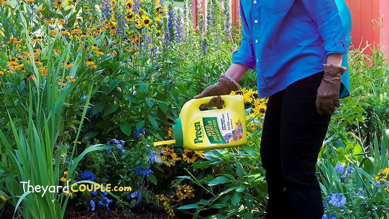 Best Weed Killer for Flower Beds That Won't Kill Flowers