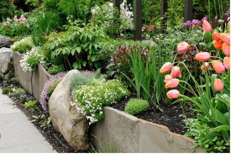 Hillside Garden Ideas Sloped Backyard