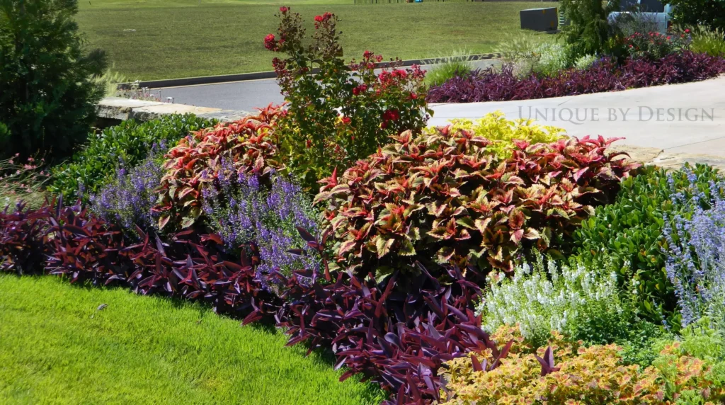 pink flowering shrubs perennials