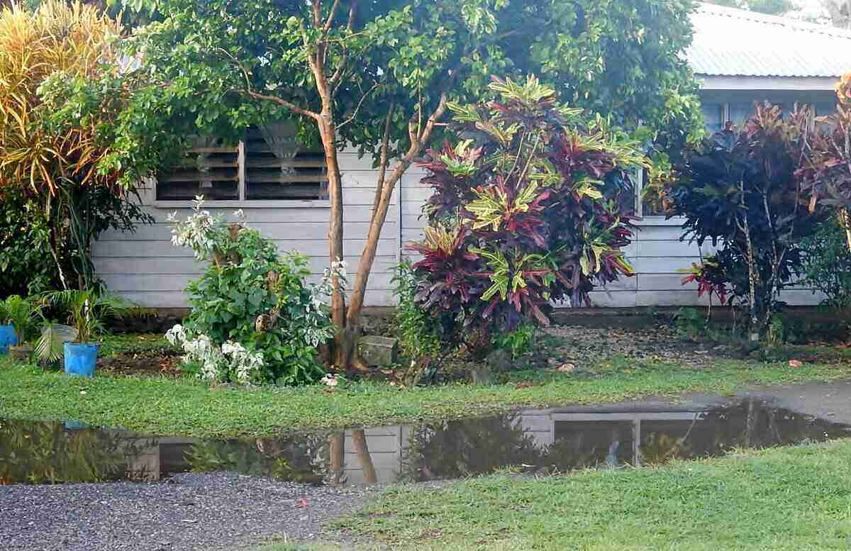 standing water in yard solutions landscaping