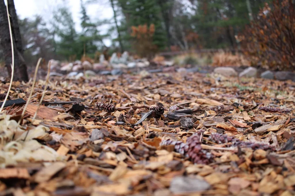 how to stop weeds from growing through mulch