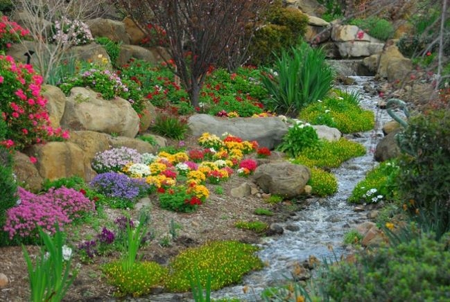 rock garden ideas