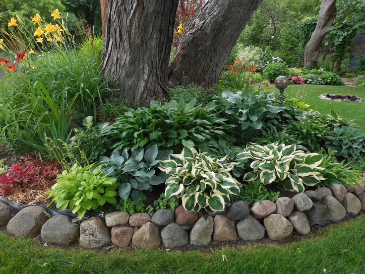 rock garden ideas