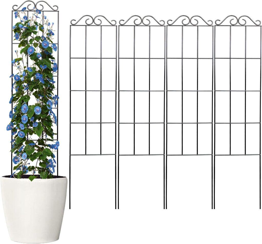 Climbing Plants for Trellis