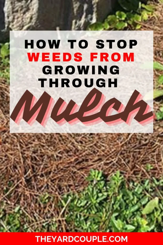 How to Stop Weeds from Growing Through Mulch