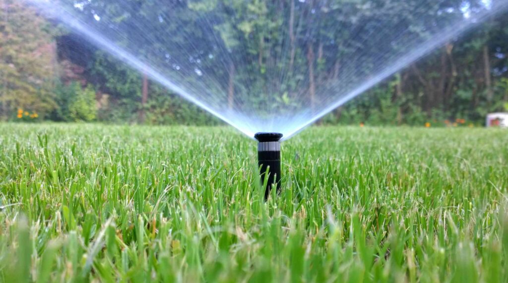 Does watering grass in the sun burn it