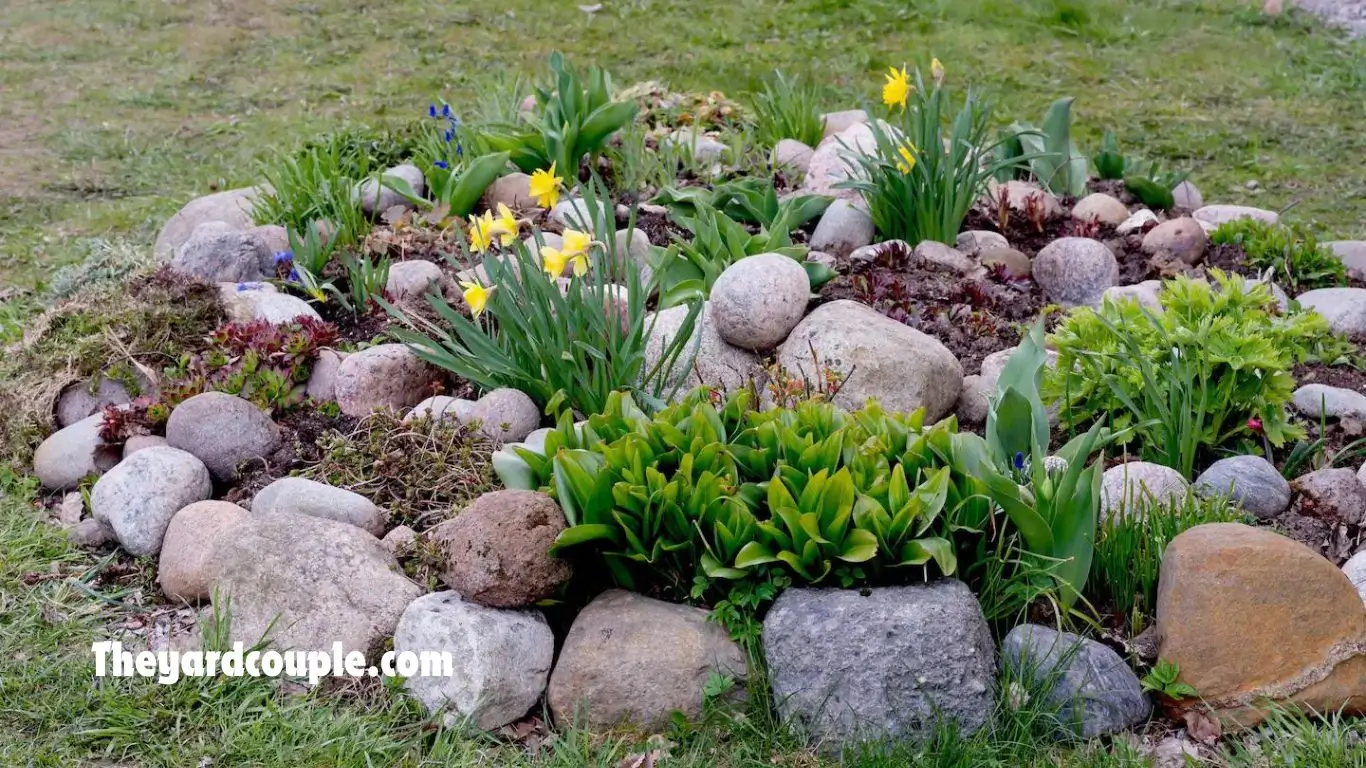 rock garden ideas