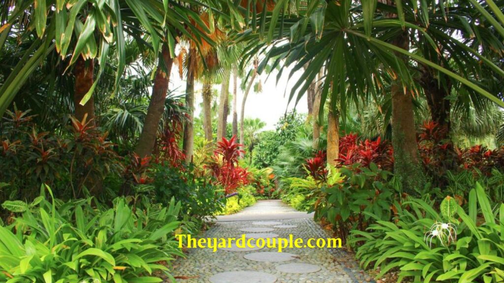 tropical garden ideas