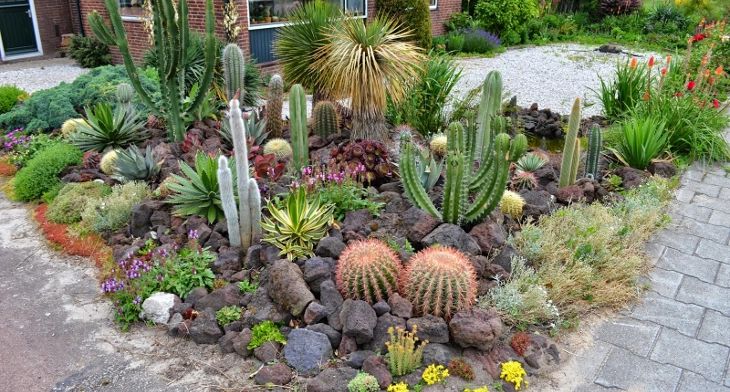 rock garden ideas diy