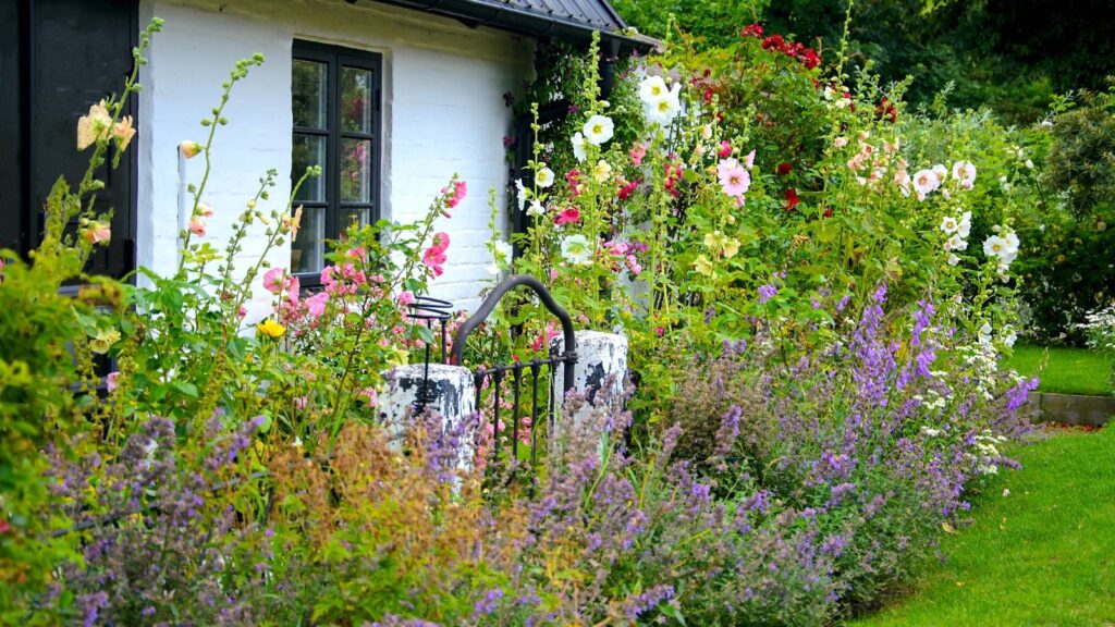 low maintenance cottage garden