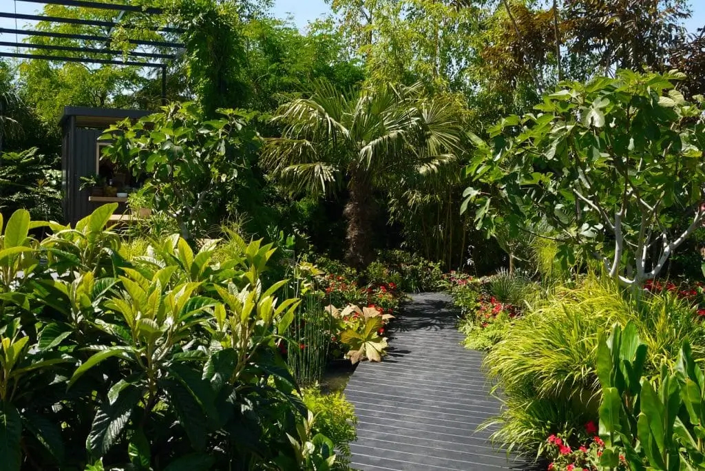 tropical garden ideas