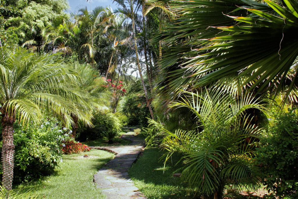 small tropical garden ideas UK