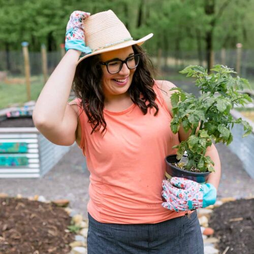 cass-holding-tomato-plant-smiling-1