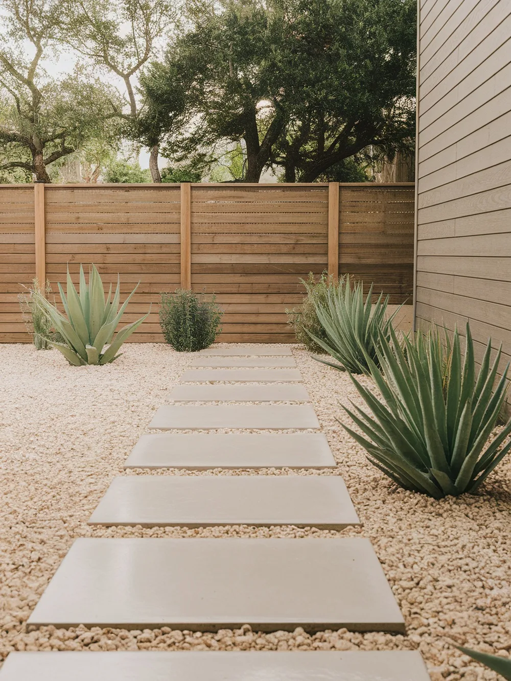 A gravel walkway with stepping stones surrounded by green plants.