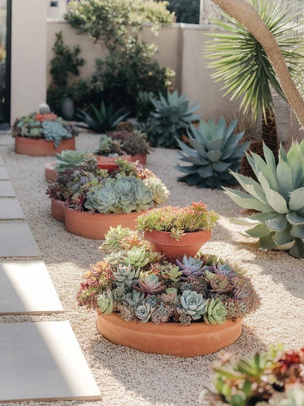 A gravel backyard featuring terracotta pots filled with various succulents, arranged in a visually appealing manner.